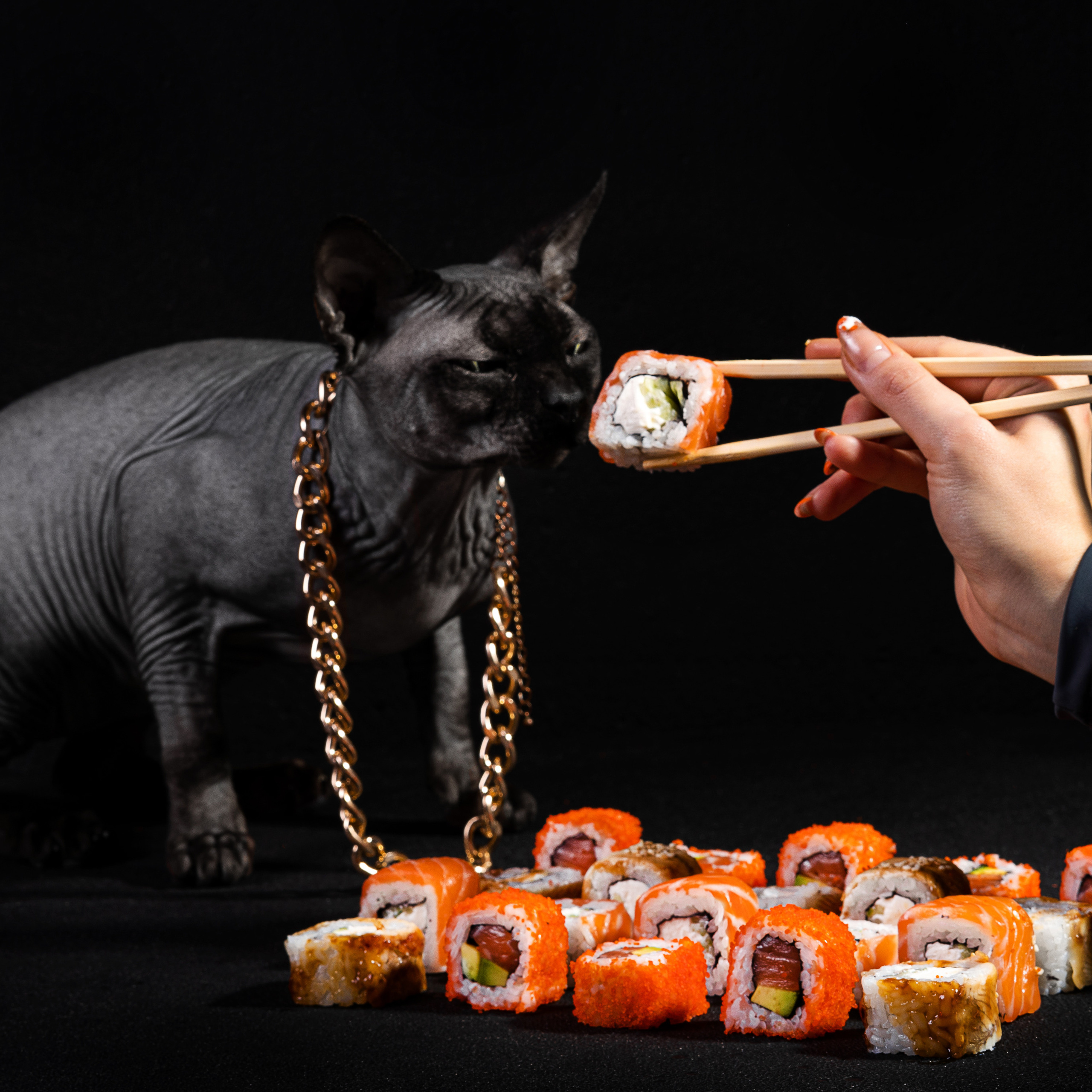 Съёмка для ресторанов: интерьер, меню и фуд-контент | Фото и видео для ресторанов | ZPROD. Фото и видеосъемка | продакшн студия ZPROD