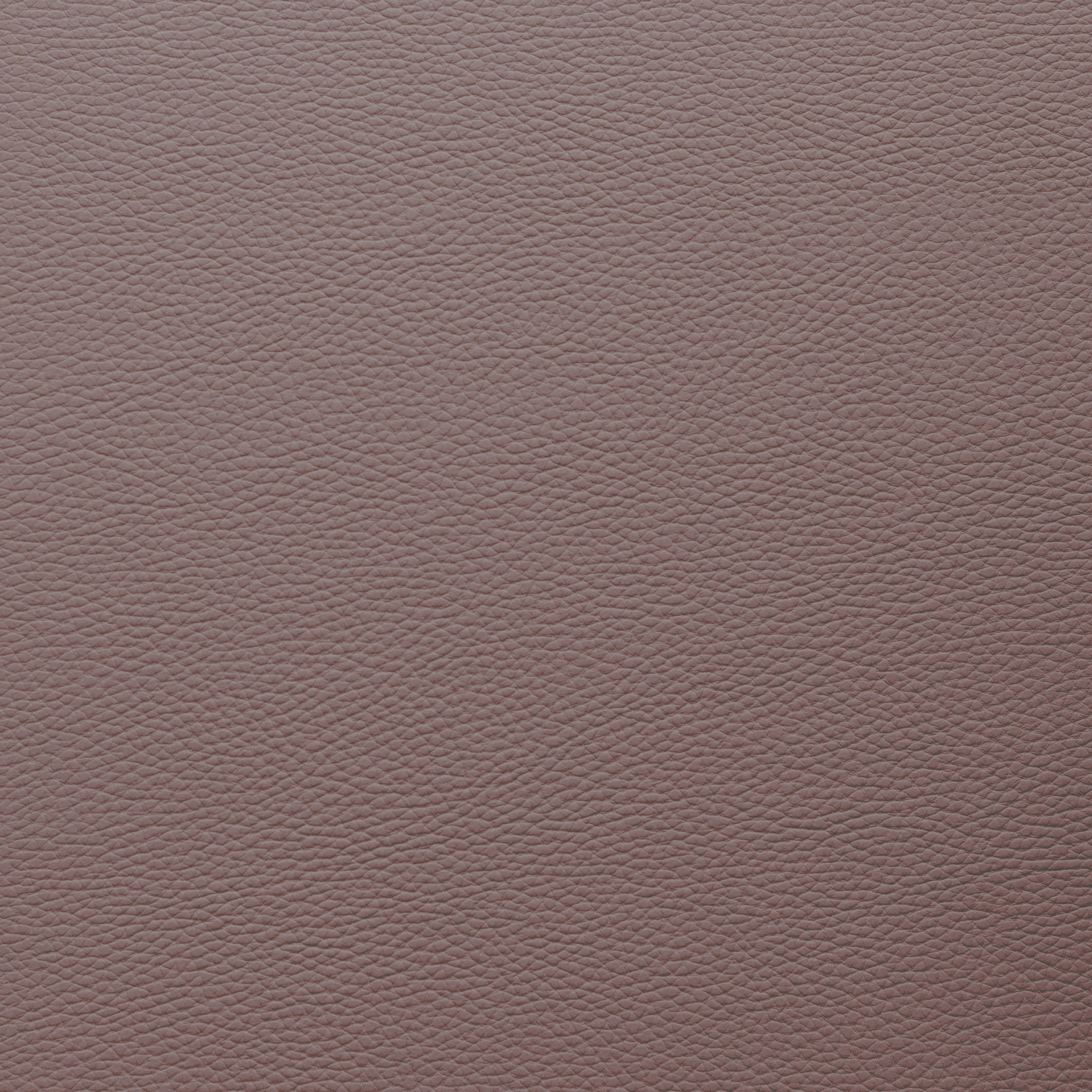 Обложки для книг. Свадебный и семейный фотограф Витебск, Минск, Андрей Павлов