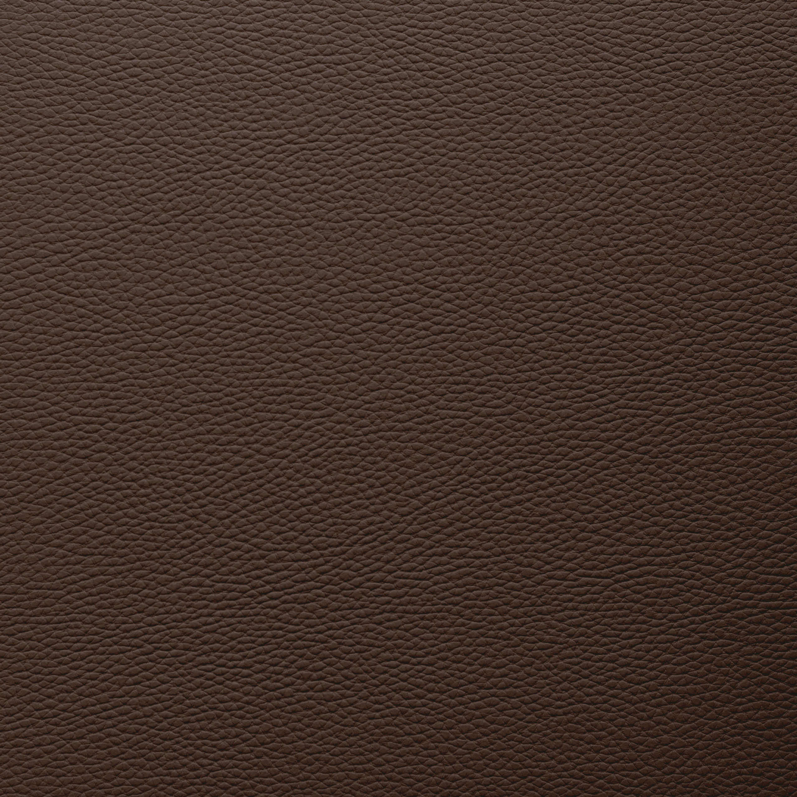 Обложки для книг. Свадебный и семейный фотограф Витебск, Минск, Андрей Павлов