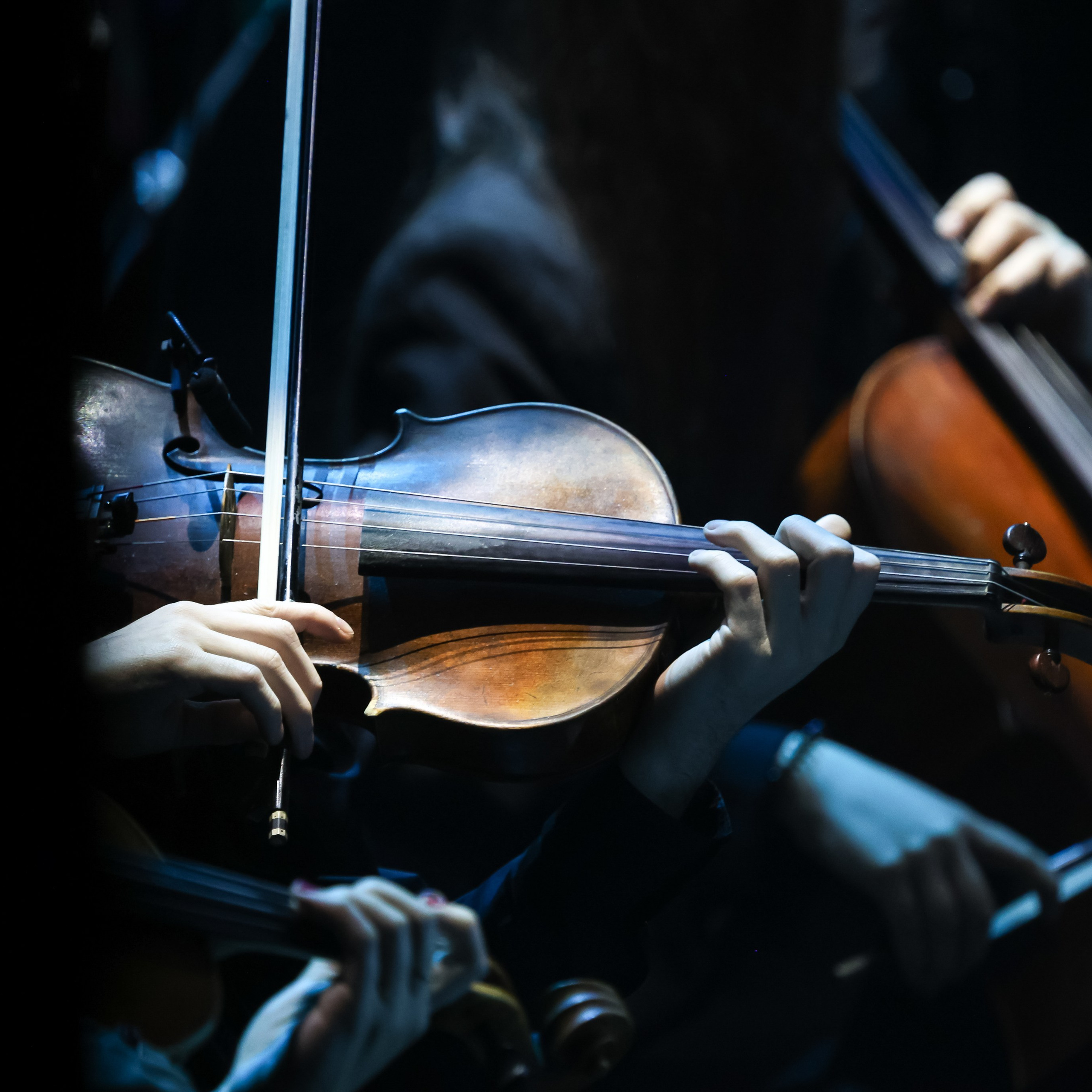 Репортажный фотограф в Москве Екатерина Якель