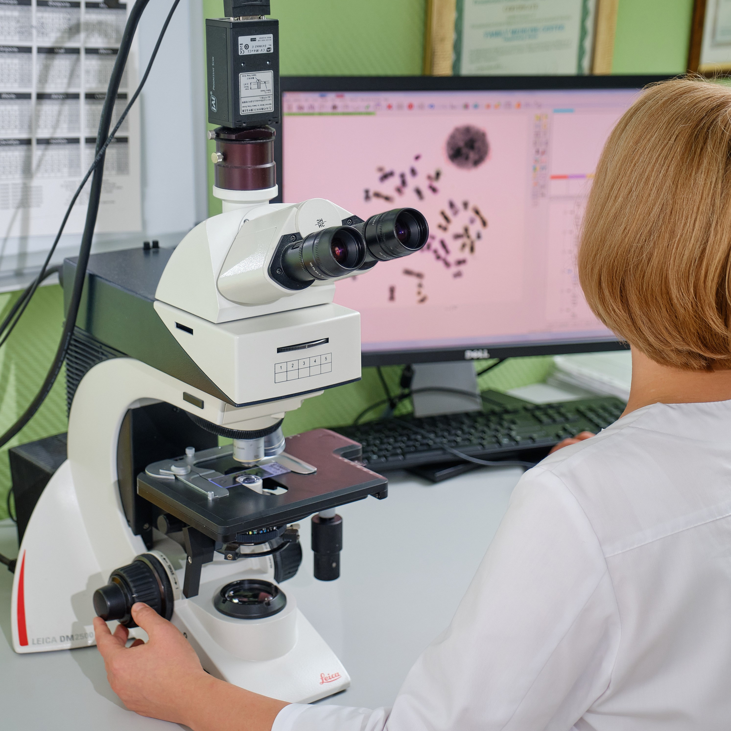 Центр Семейной Медицины. Контент-креатор Паша Норицын