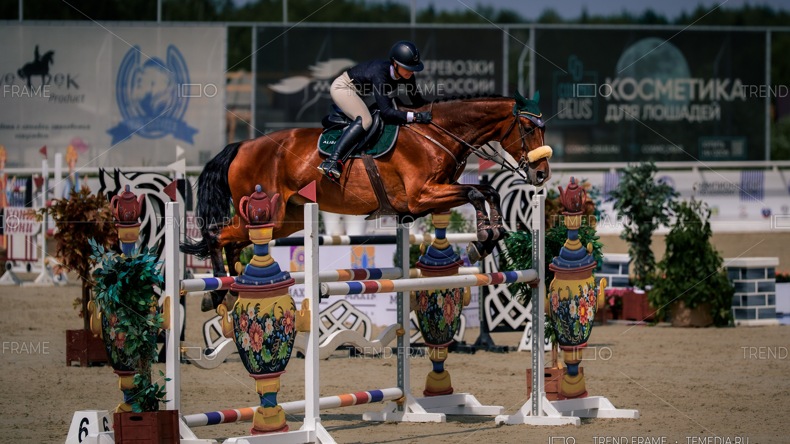 Лошади конкур — прыжок через барьер, Горки Сухаревские