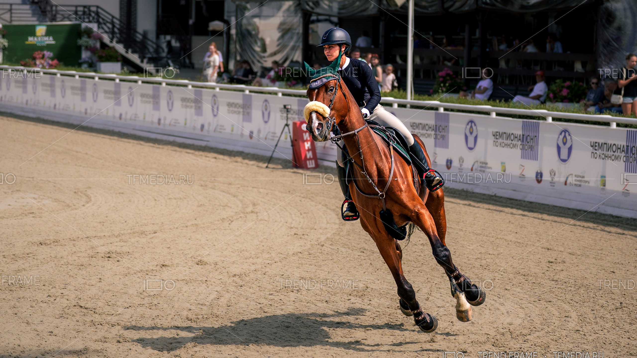 Конкур — лошадь прыгает через барьер, Maxima Park
