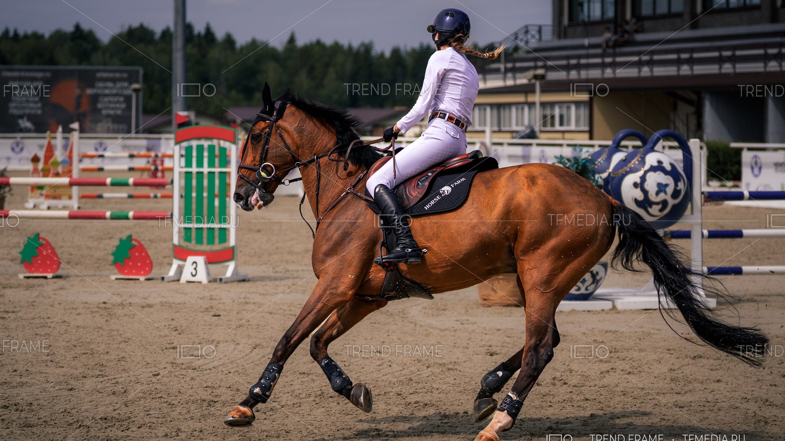 Выездка — лошади видео и фото, Maxima Park