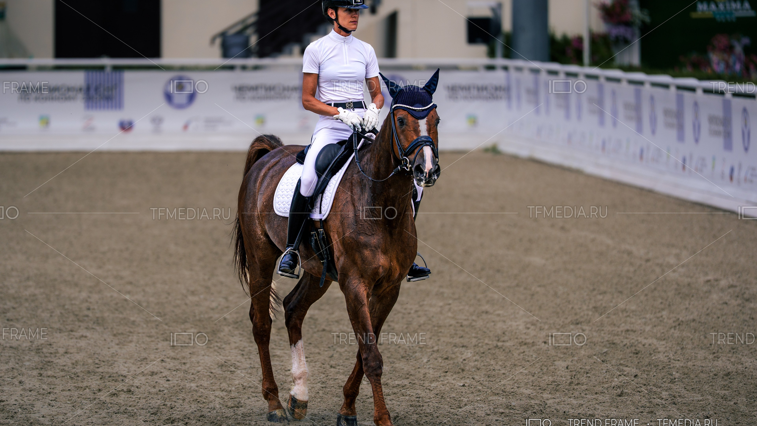Выездка — Maxima Park, лошади выездка, конный спорт