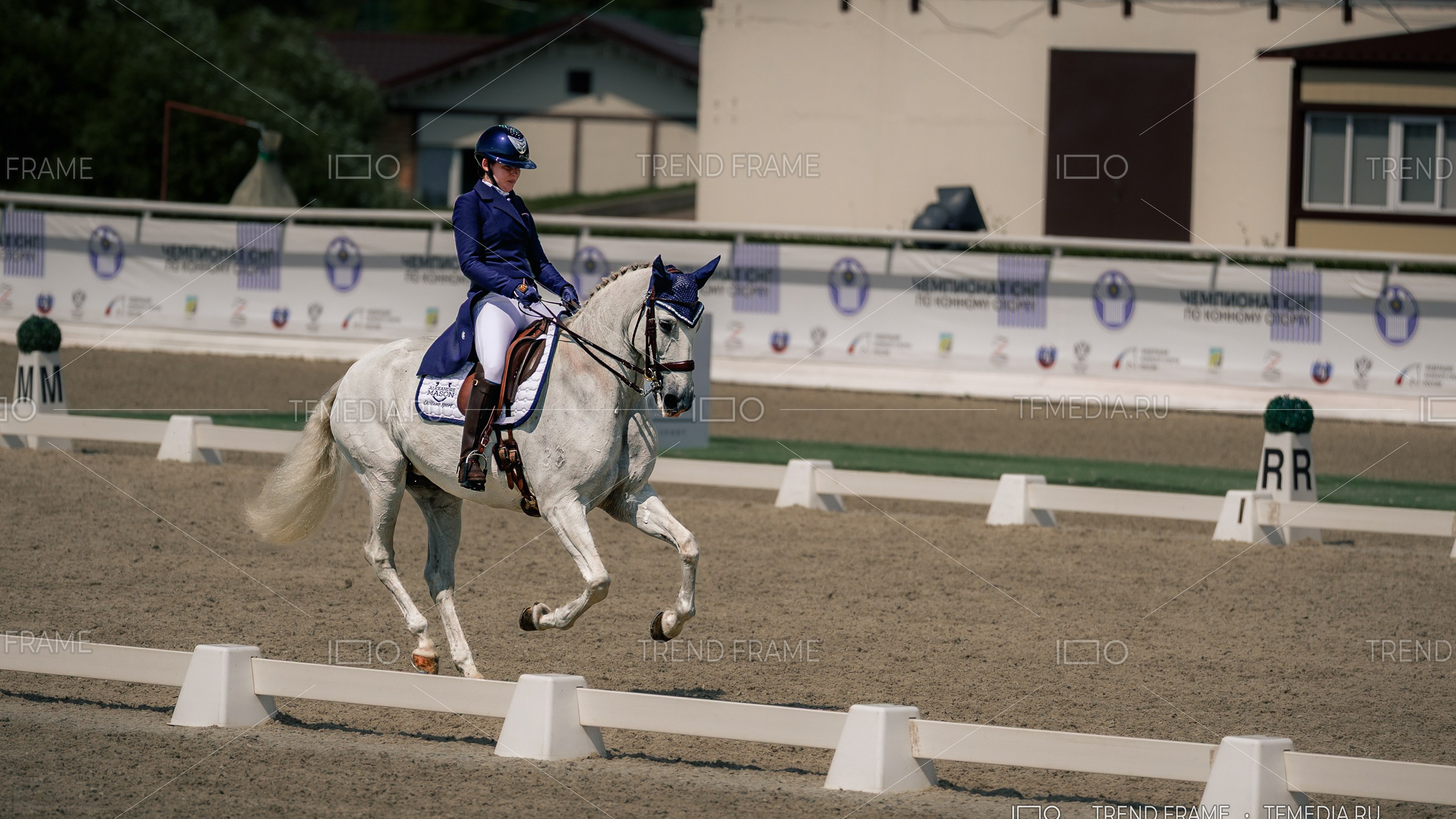 Лошади — выездка Maxima Park, конный спорт