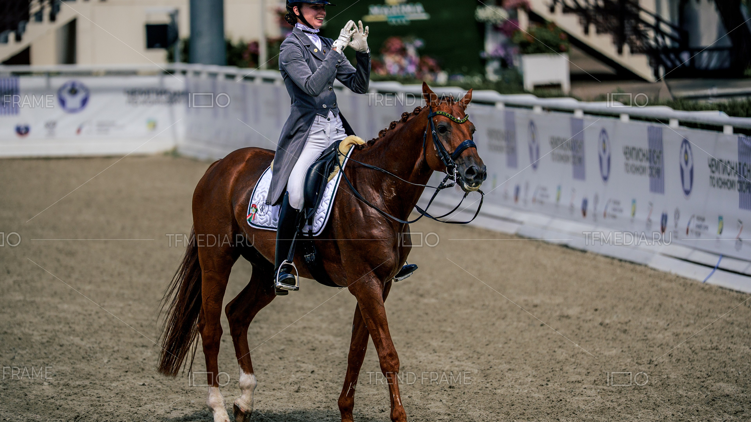 Maxima Park — выездка, конный спорт соревнования