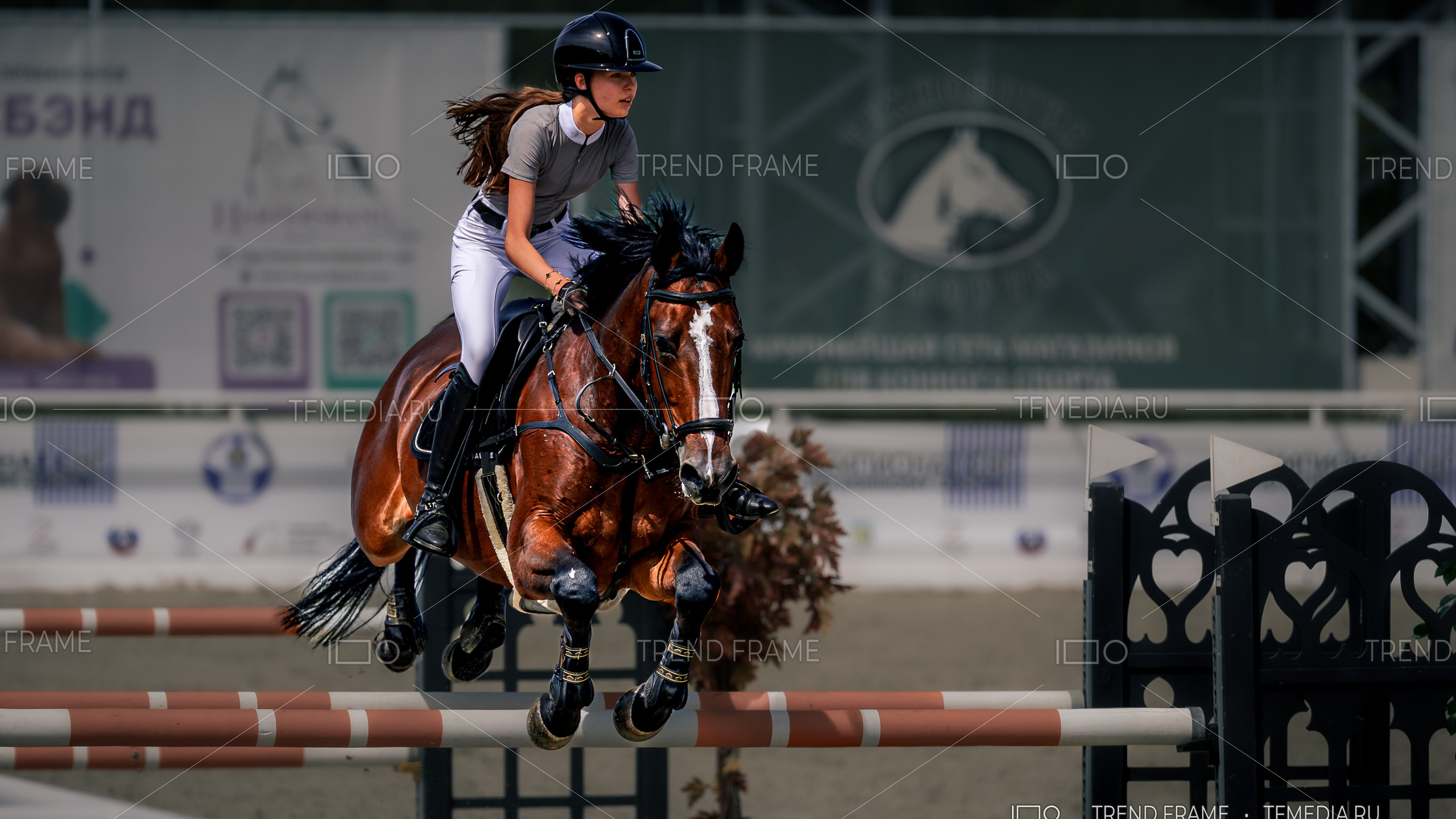 Лошади прыгают через барьер — Maxima Park конкур