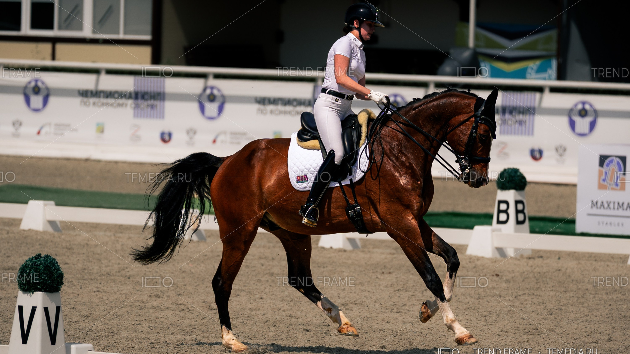 Выездка — конный спорт выездка, Горки Сухаревские