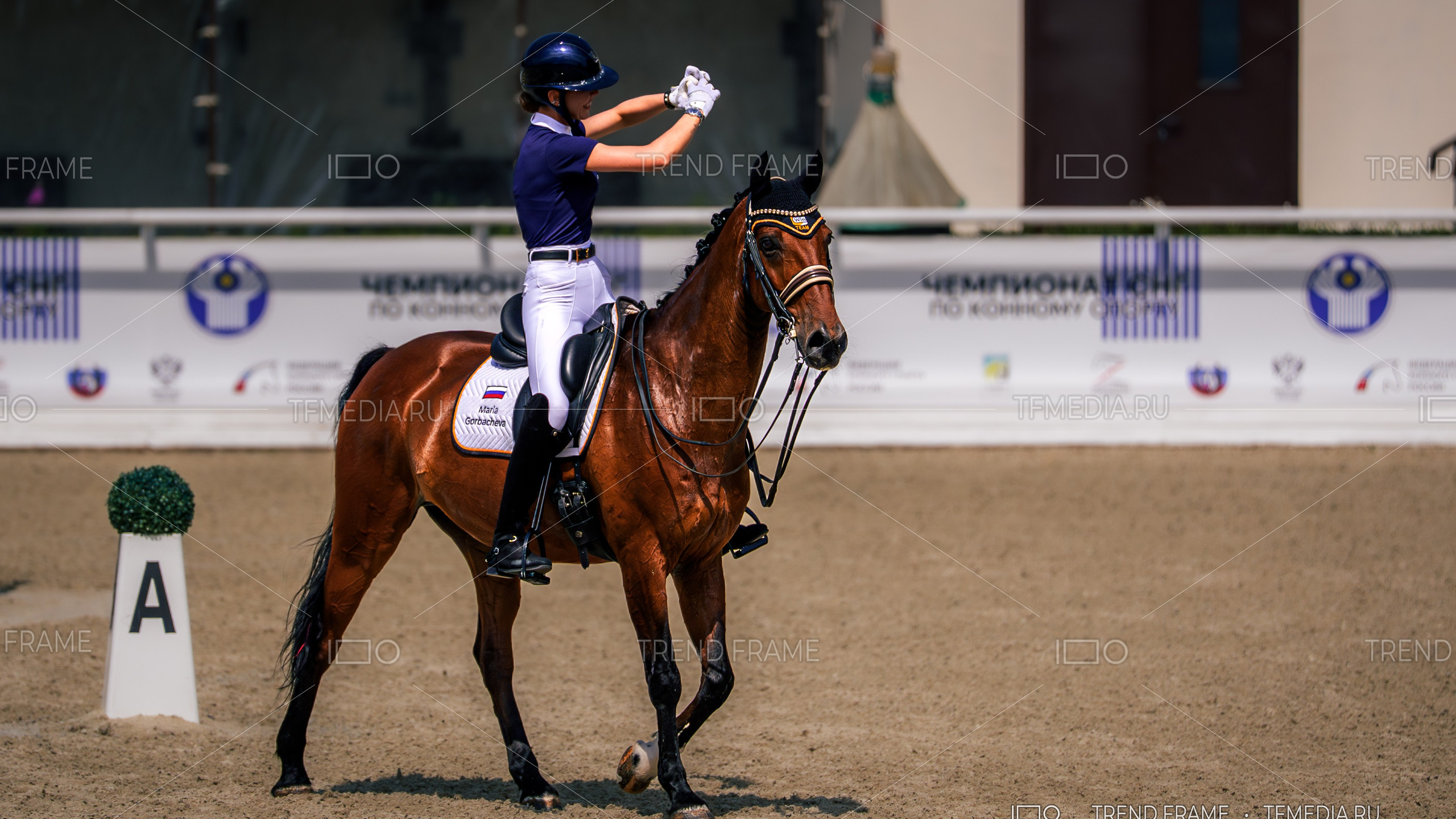 Конный спорт — выездка, лошади, Maxima Park