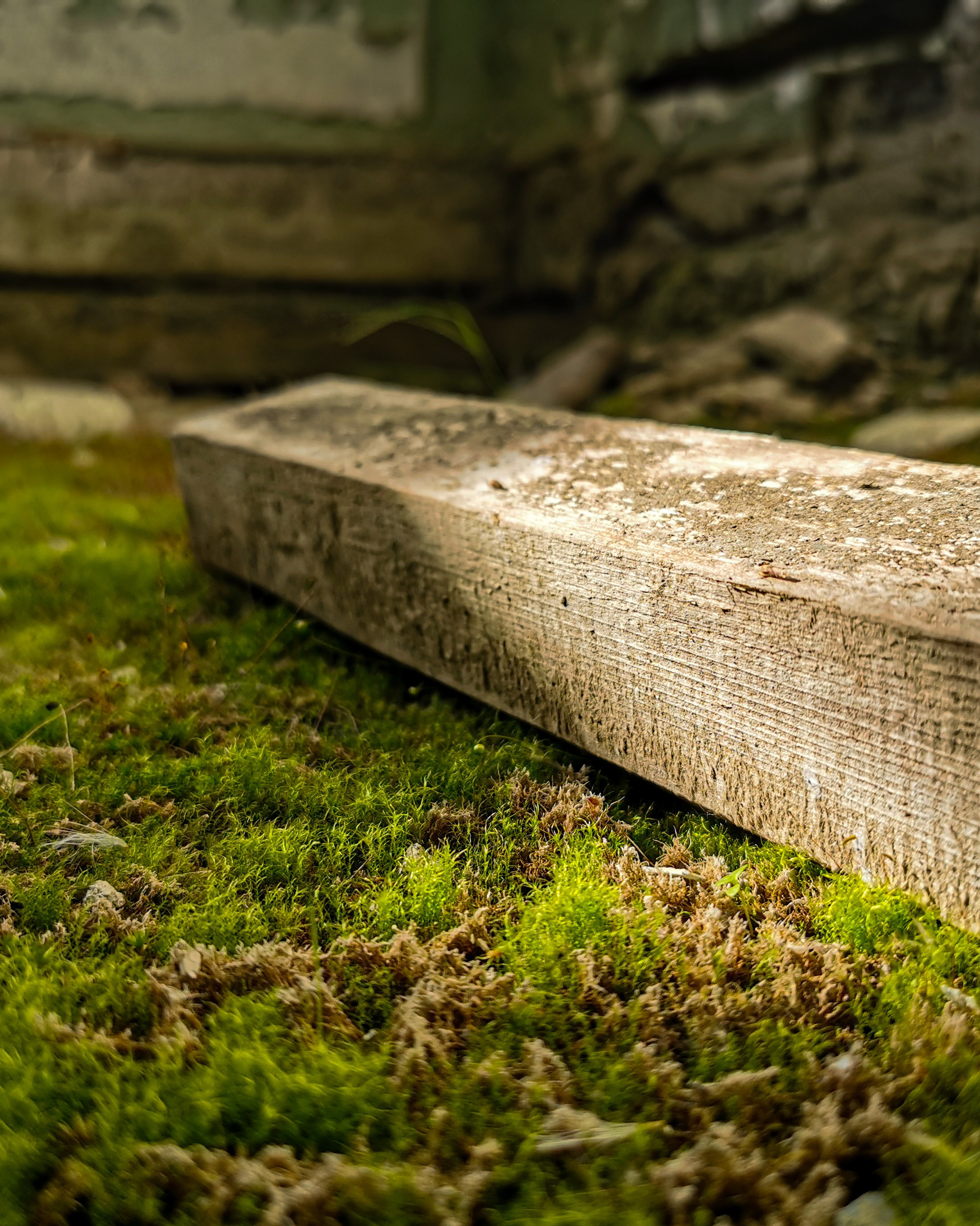 #давайубежим