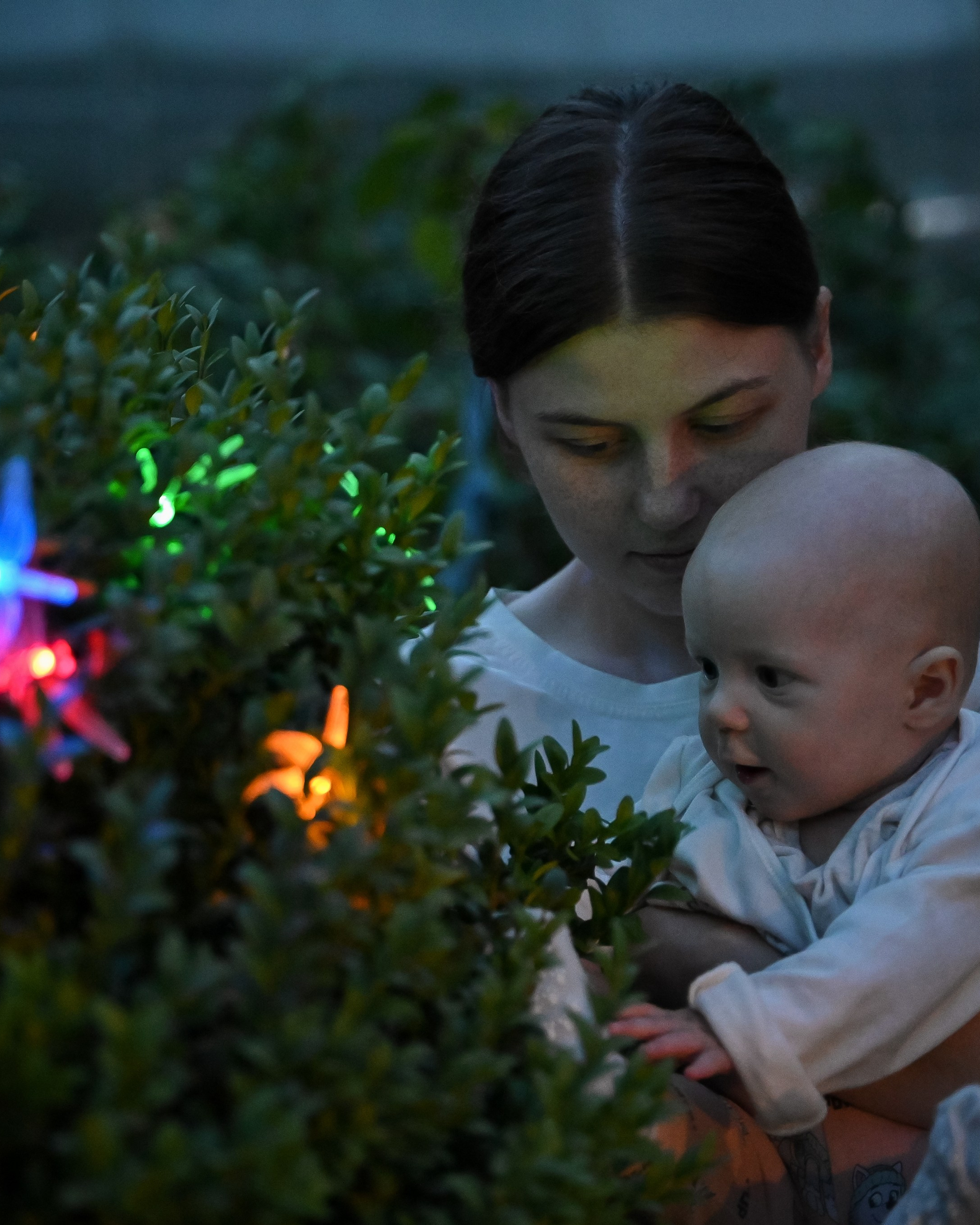 На даче в лесу