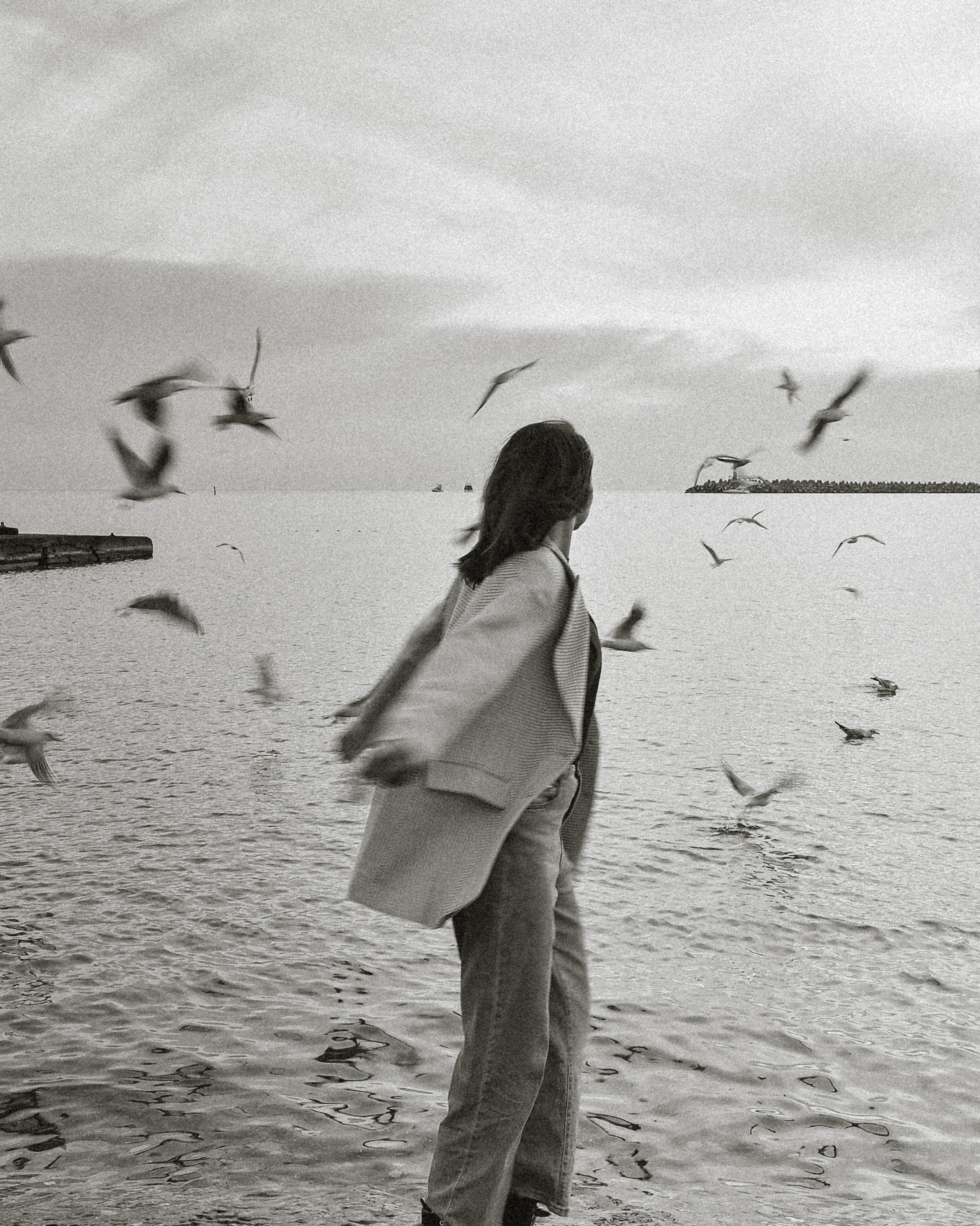 У Чёрного моря в Сочи