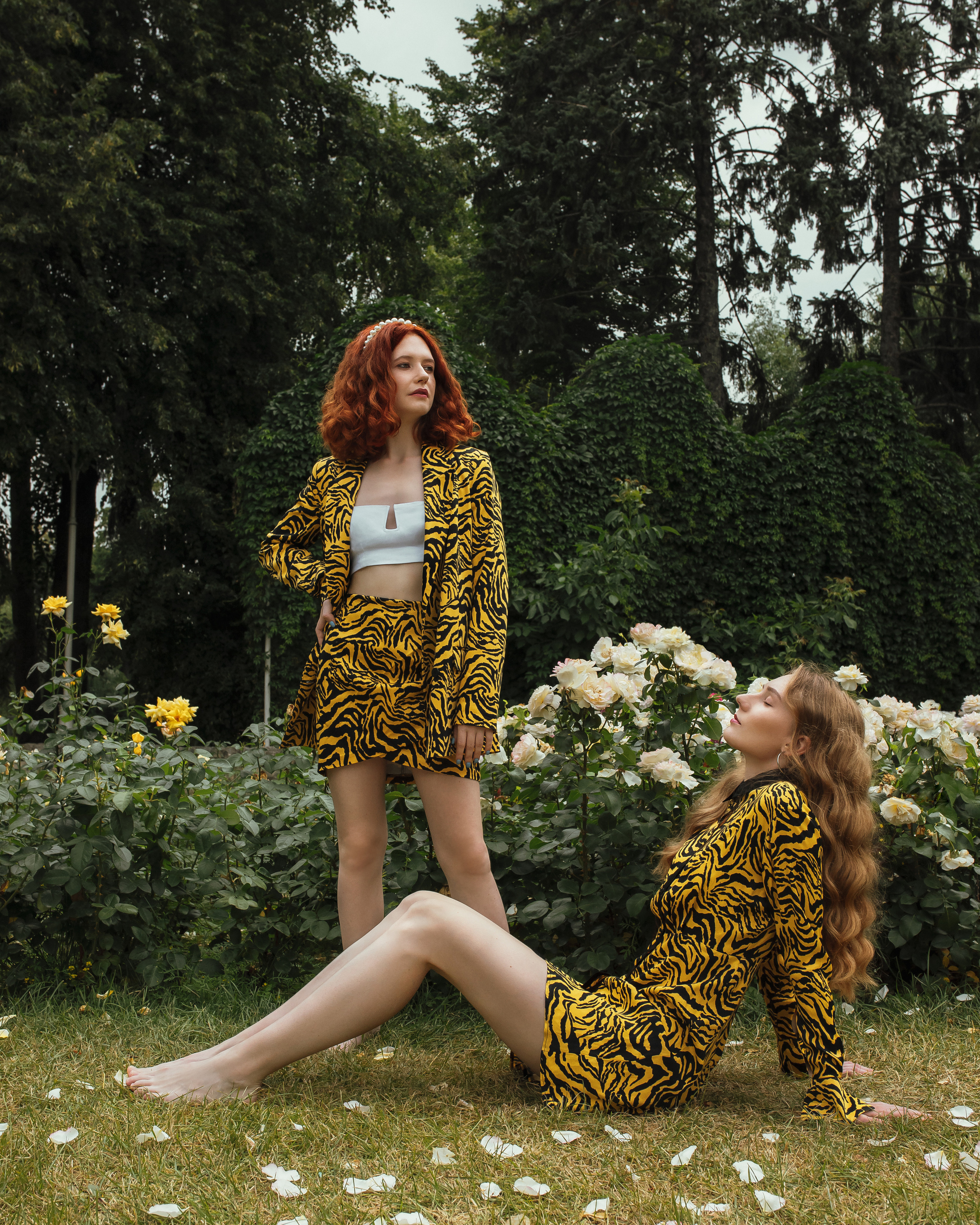 Кампейн Пикник