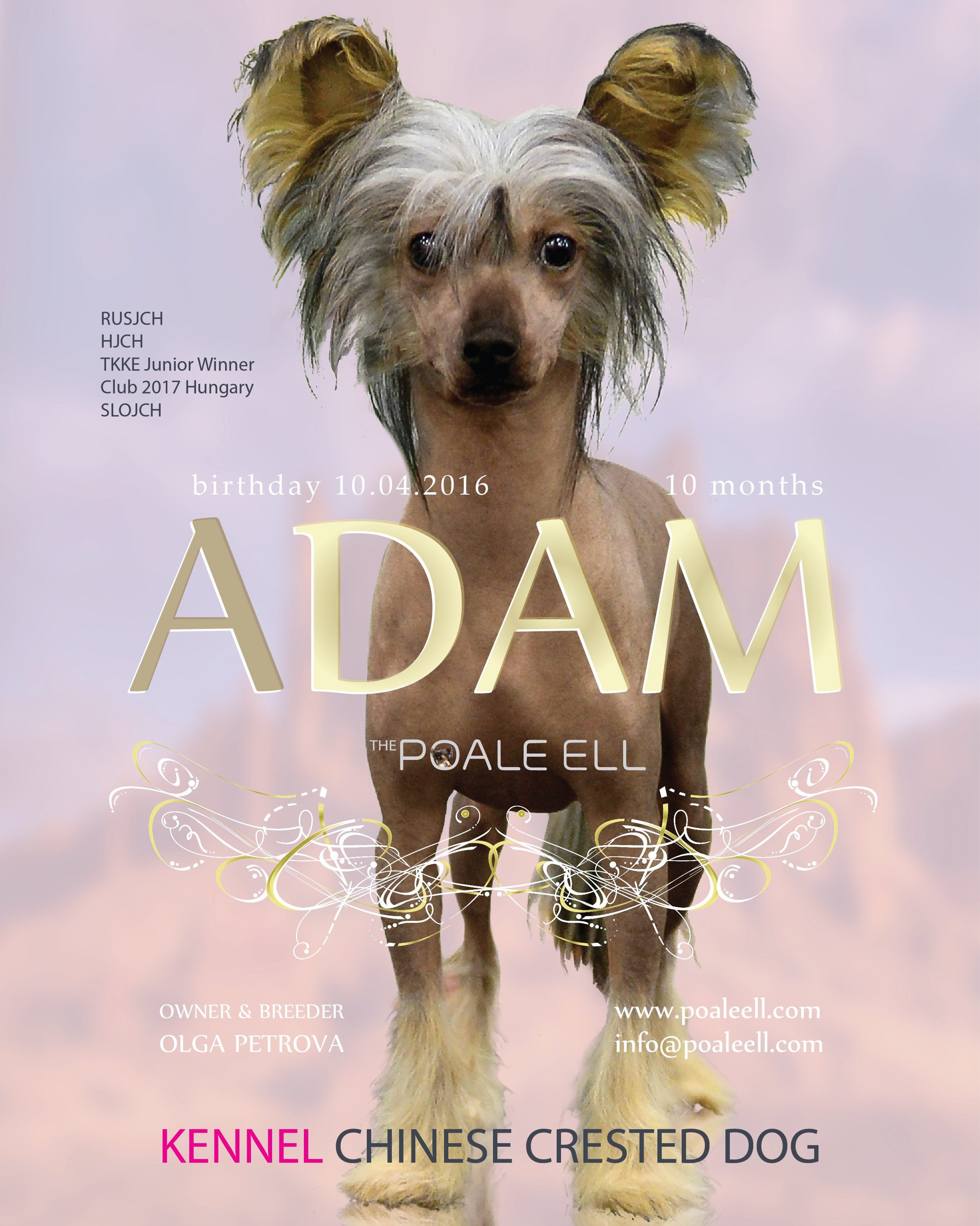 Poale Ell Adam