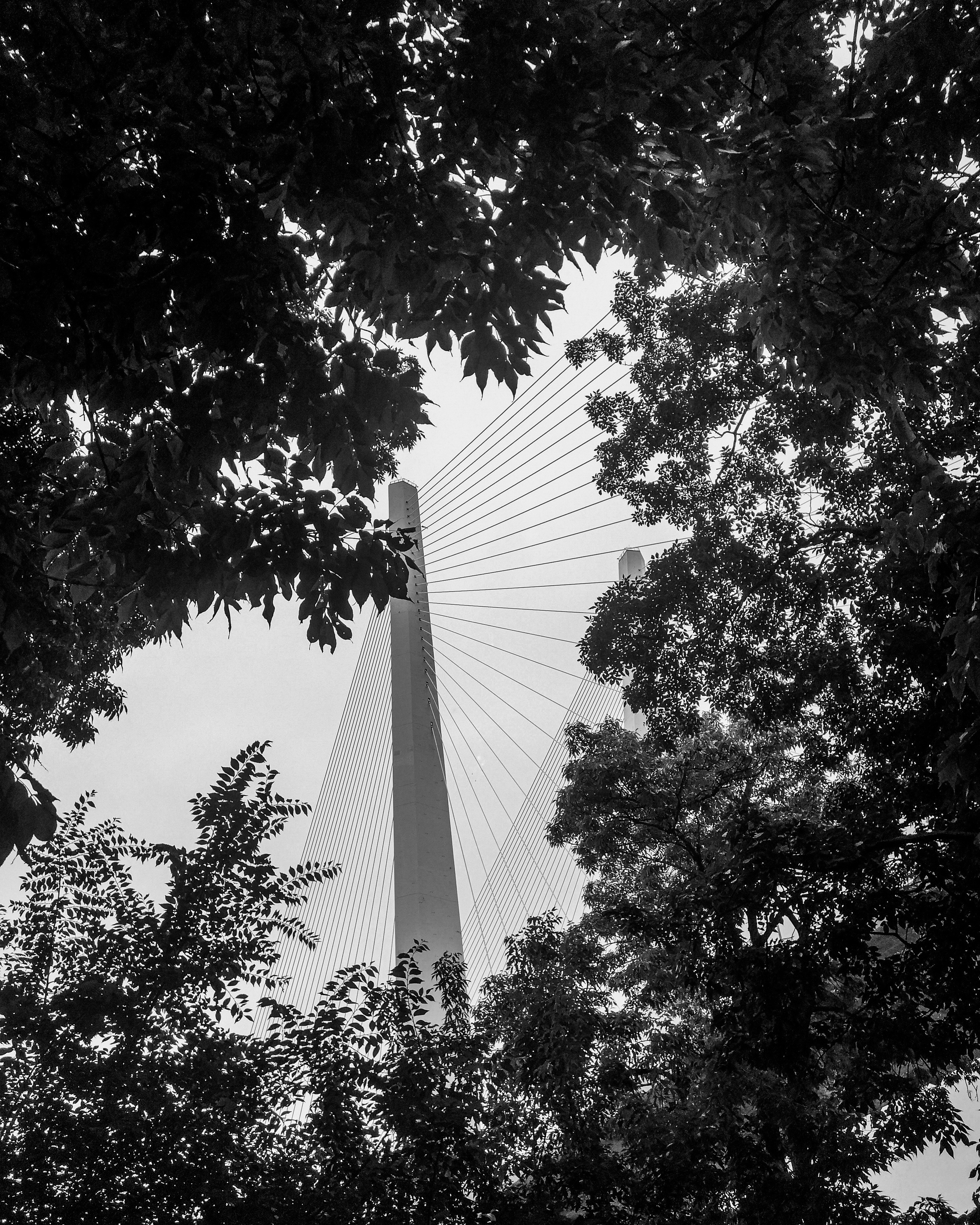 Мобильная солянка