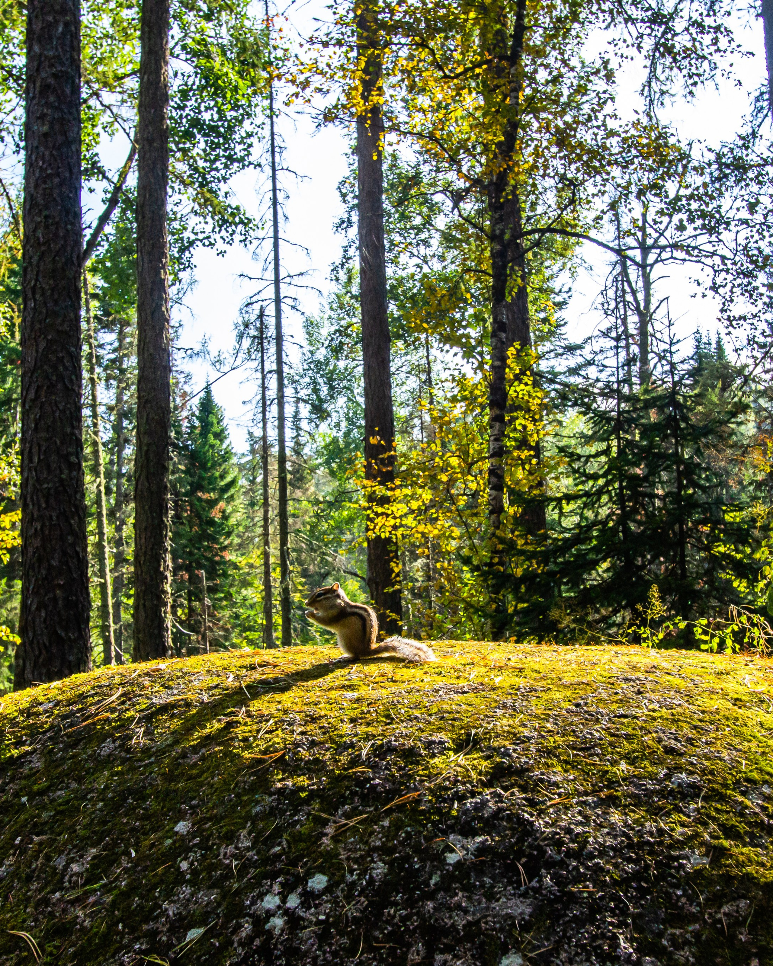 Красноярские столбы
