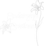 sudarynyasvetlana.ru