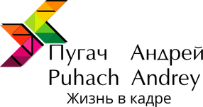 andreypuhach.ru