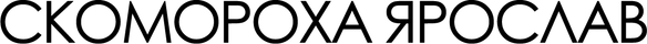skomorokha.wfolio.pro