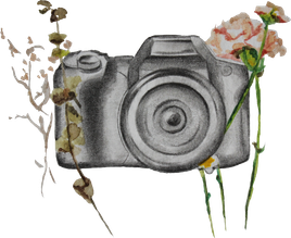 photolife.wfolio.pro