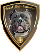 american-bullyxl-gbu-kaliningrad.com