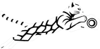 bengalproduction.pro
