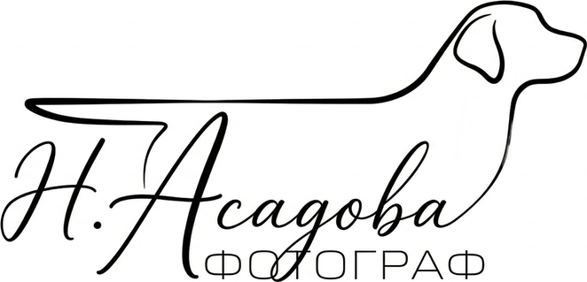 asadovanat.ru