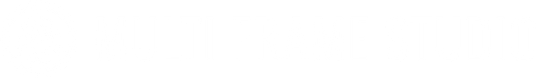 multiframestudio.ru