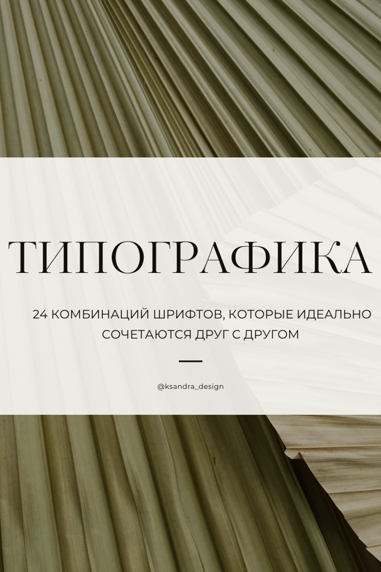 Блог Александры Дмитриевой