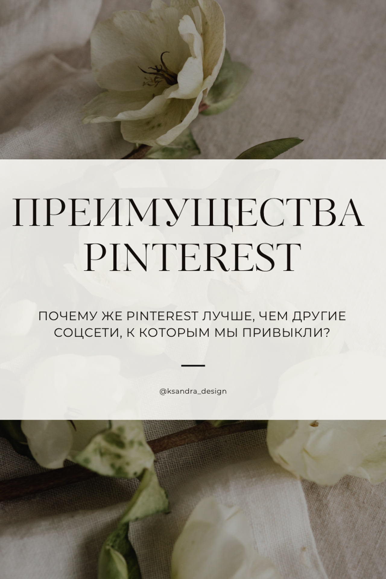 Блог Александры Дмитриевой