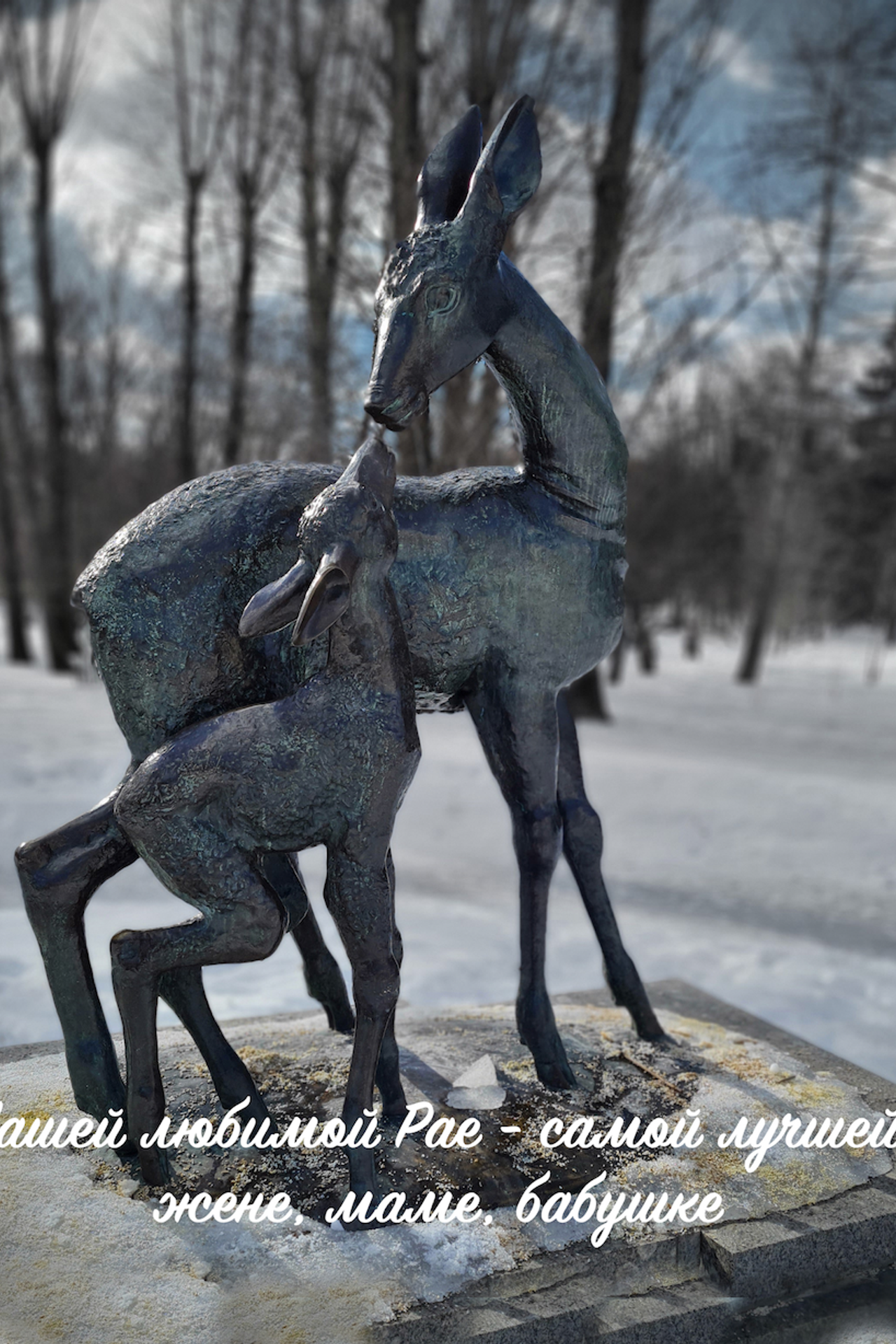 Бабушке на день рождения