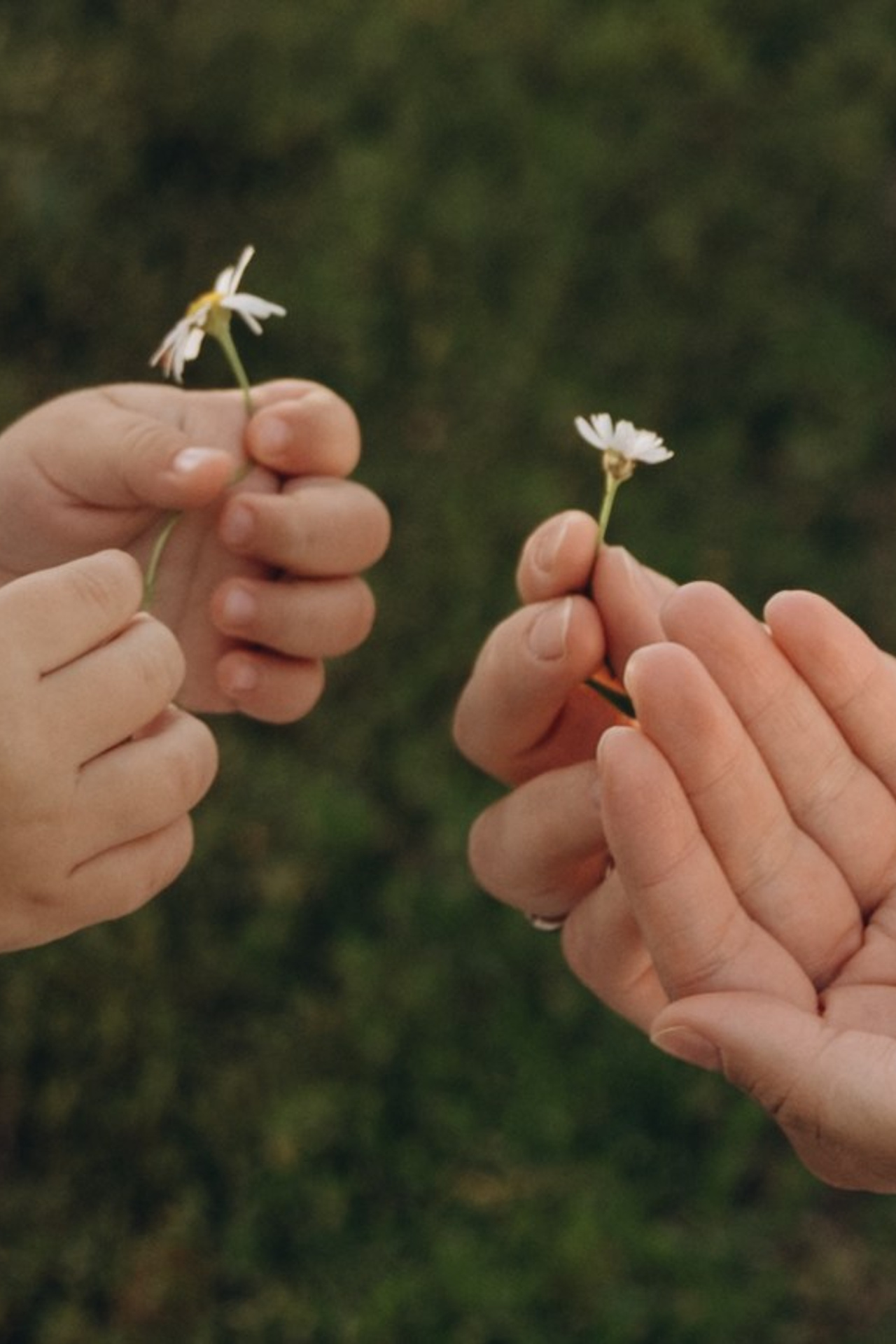 Истории. Фотограф Оля Сугробчик. Свадебный и семейный фотограф Оля Сугробчик. Арзамас, Нижний Новгород и область