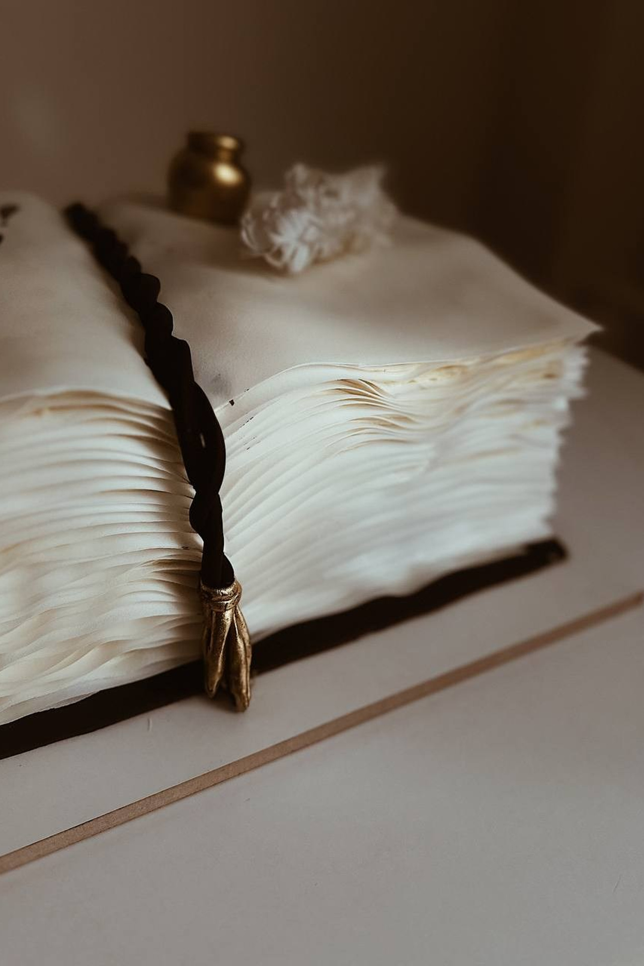 Арт-торты. Арт-кондитер в Москве Маша Шафран