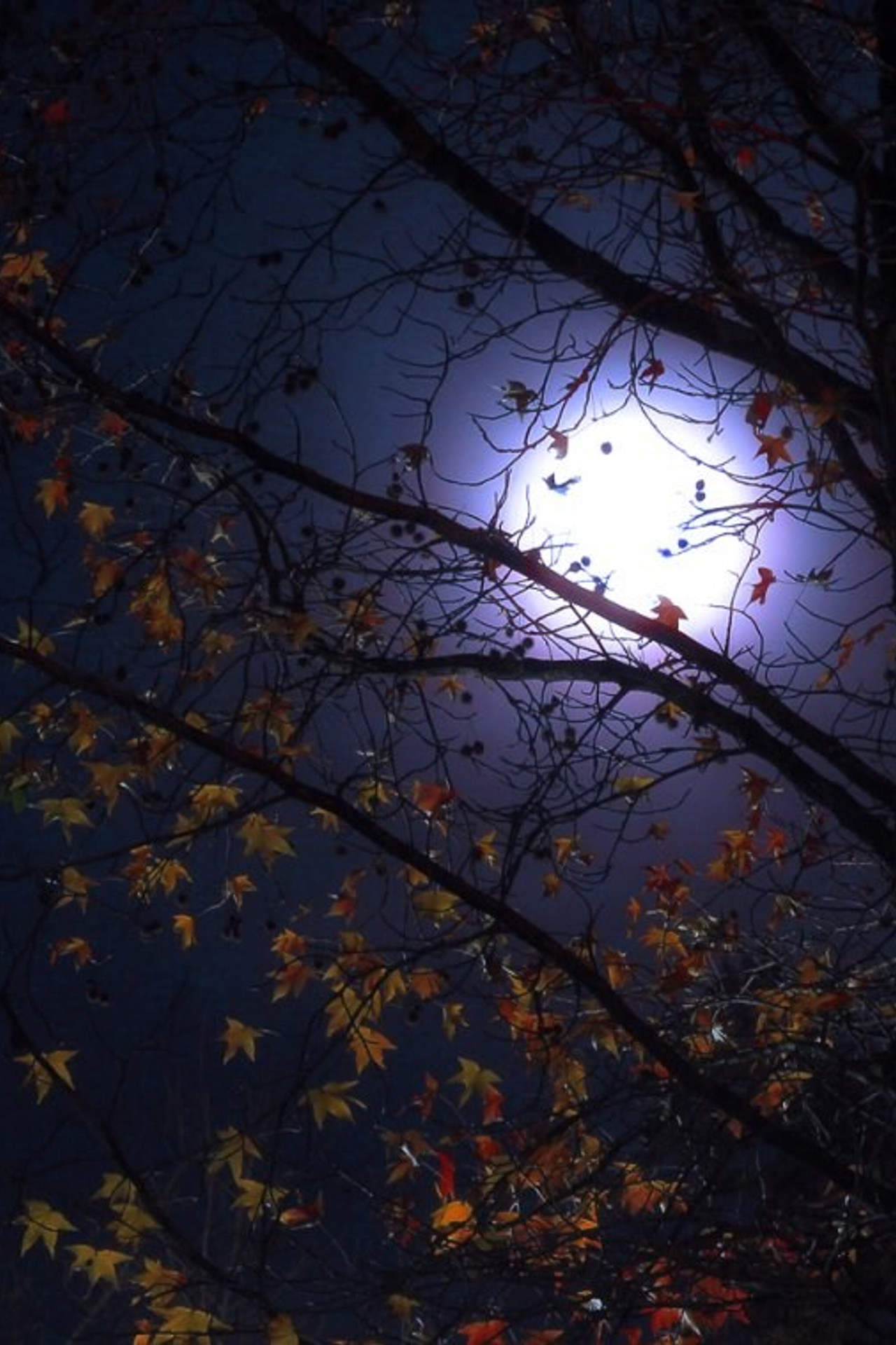 Театры, кино, выставки, премьеры в Перми. Журнал о самом особенном. Пермь и Пермский край