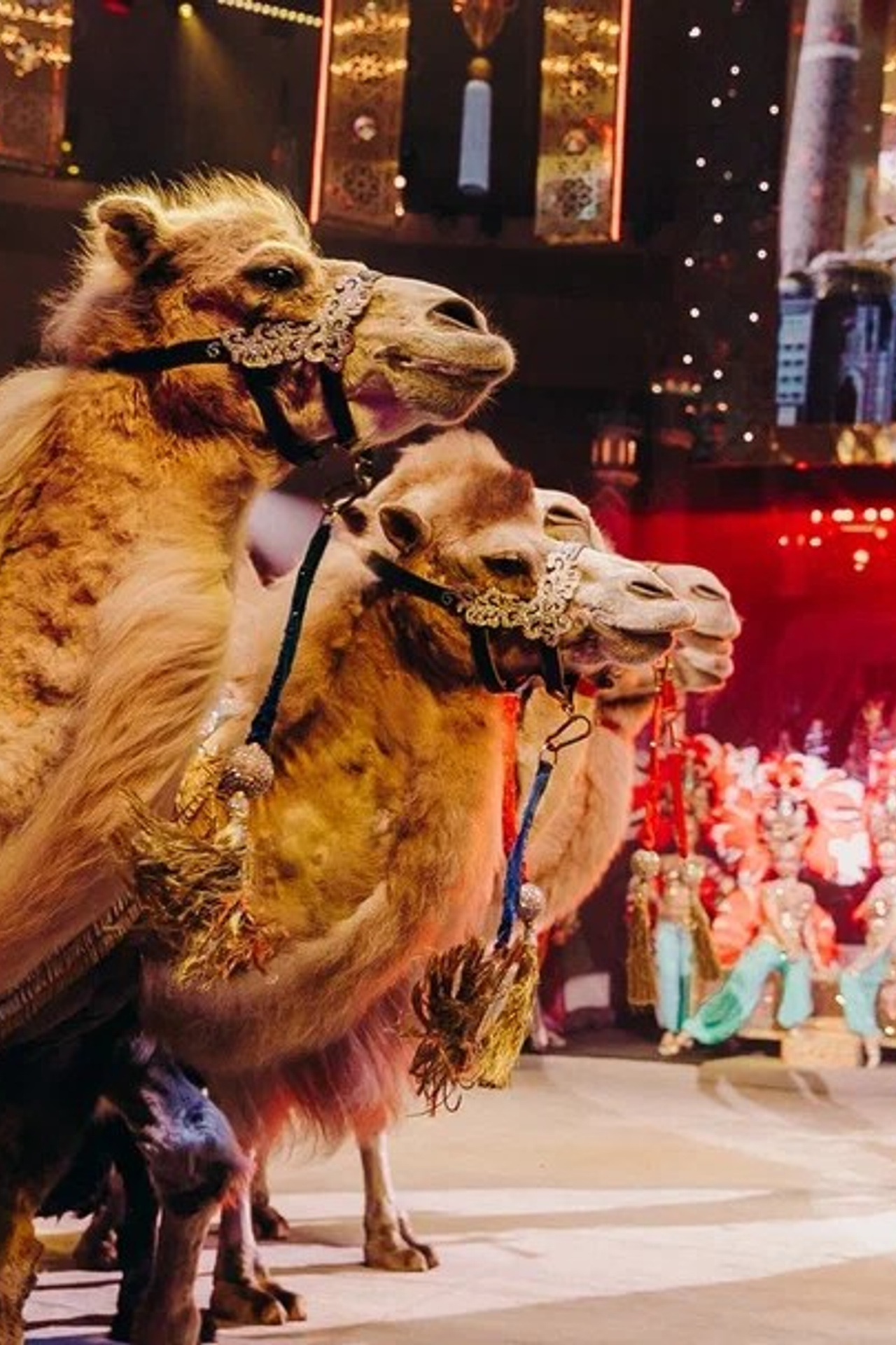 Театры, кино, выставки, премьеры в Перми. Журнал о самом особенном. Пермь и Пермский край