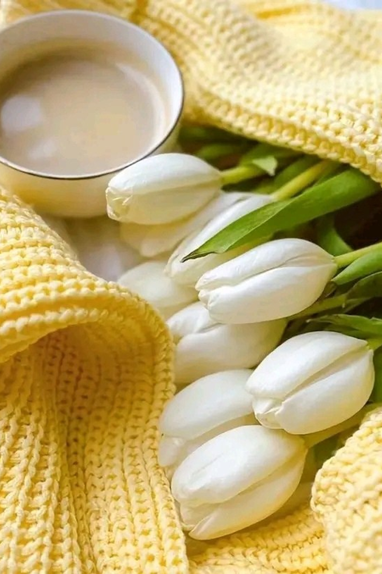 Стихи брату Абаю на свадьбу