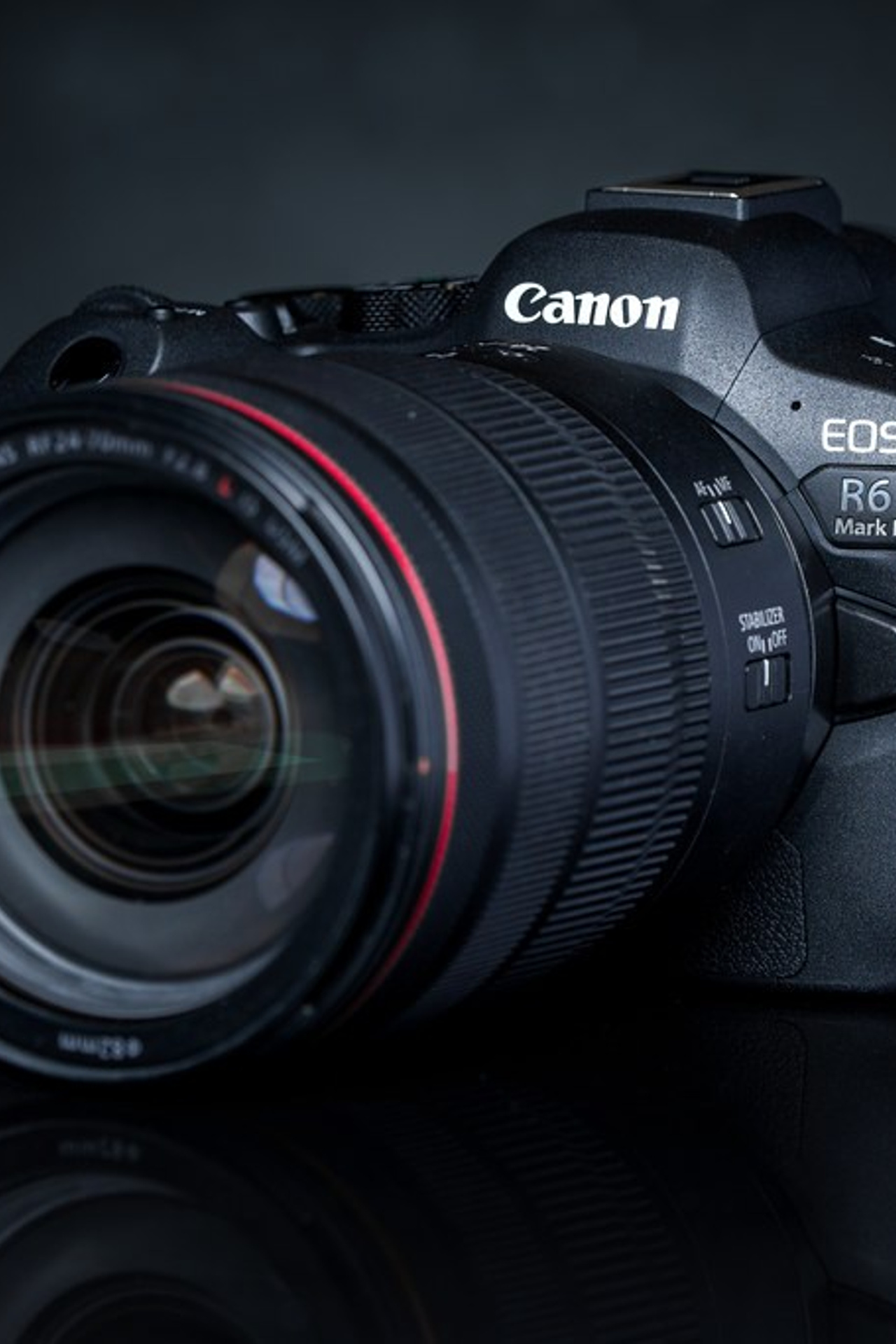 Актуальный интерьер фотостудий Брянска на Ноябрь, Декабрь 2024 и начала Января 2025