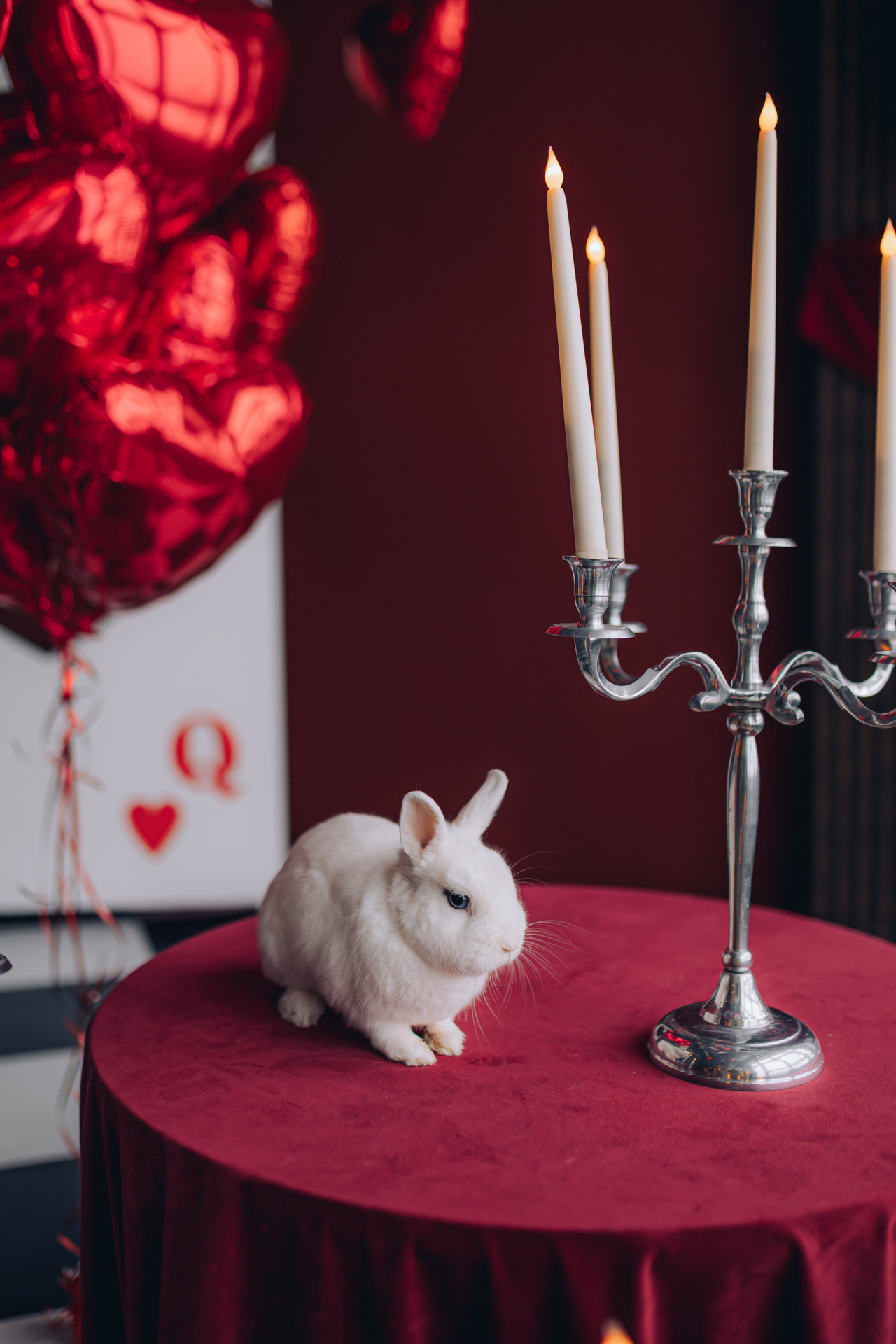 Фотостудии. Фотограф в Минске Людмила Дутко