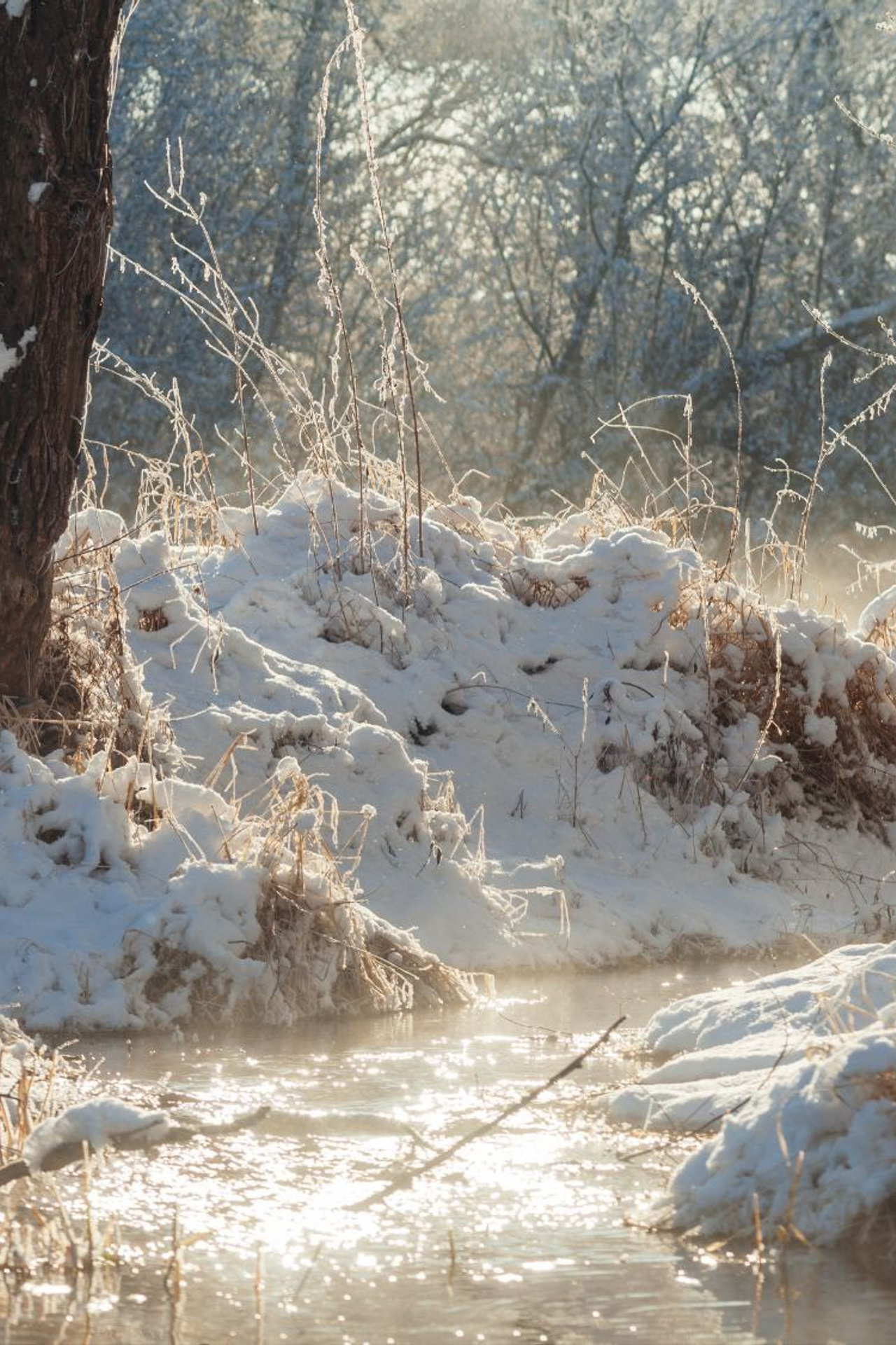 Блог. Фотохудожник Артём Парамонов