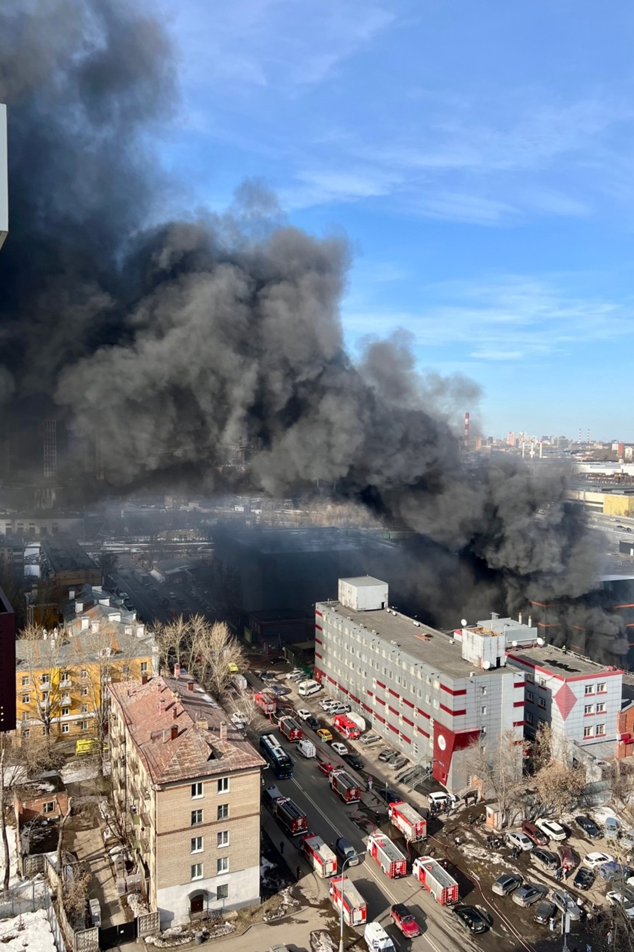 Перинатальная потеря: как пережить горе и найти опору. Психолог онлайн Эльза Хасанова