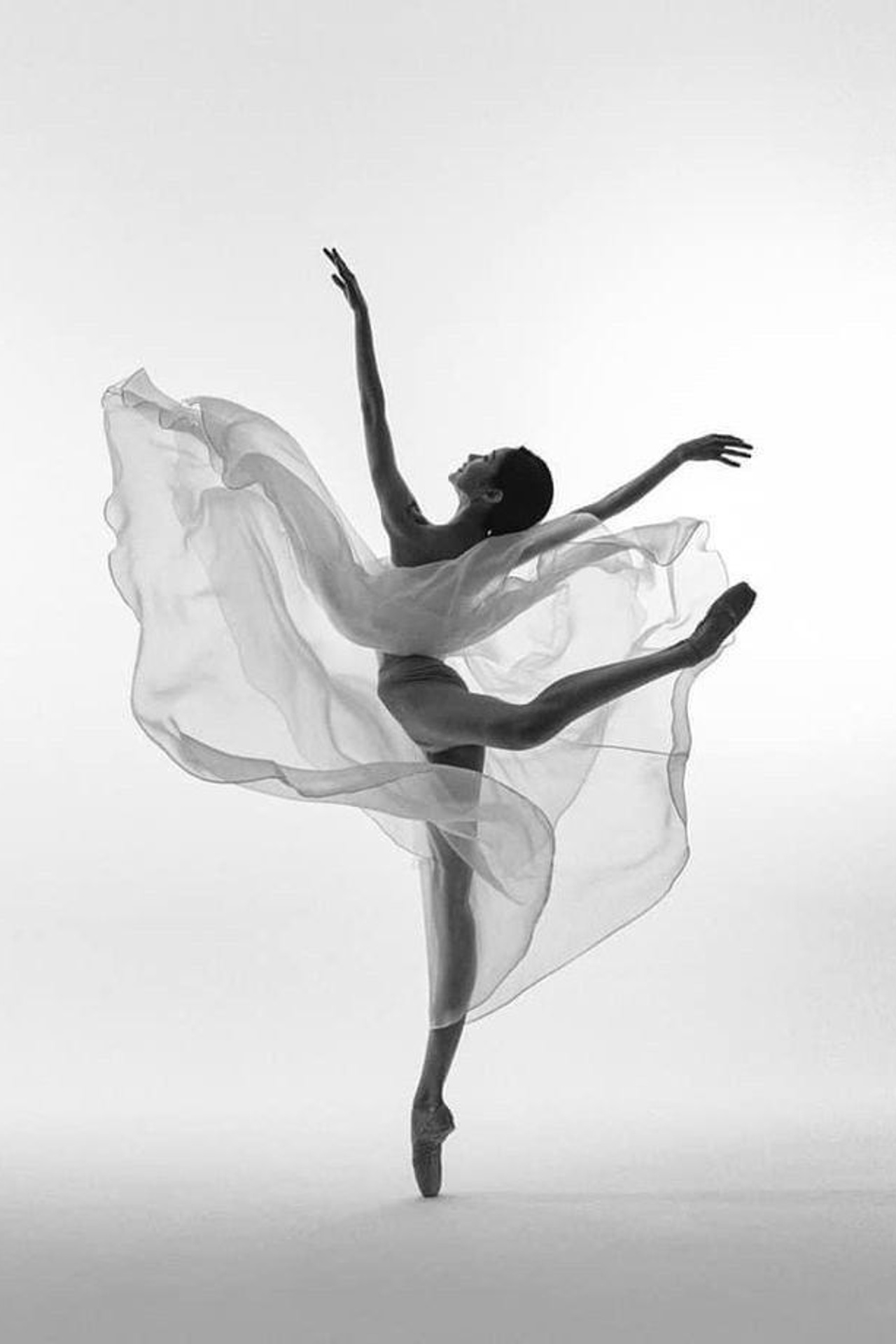 Анонсы. Александра Мельниченко/ Бегающий фотограф