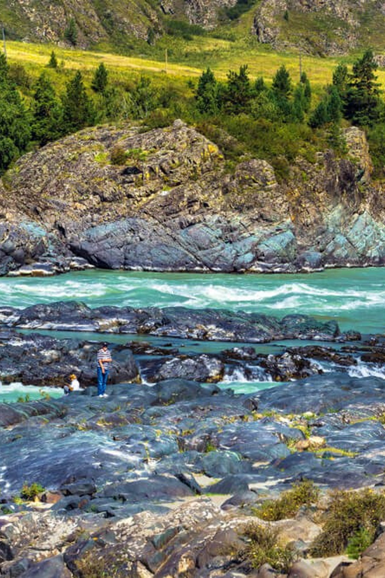 НОВОСТИ недвижимости Алтая. Банк земельных участков Алтая