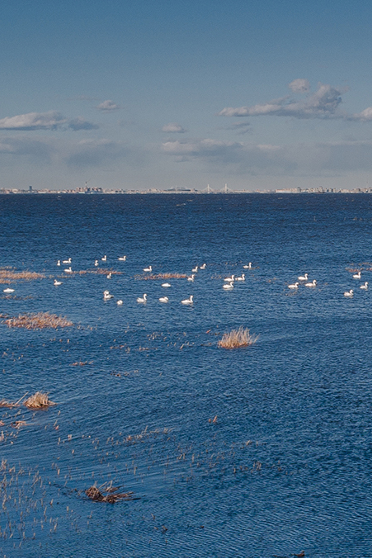 БЛОГ. 42clicks|||Студия видео и фотосъёмки