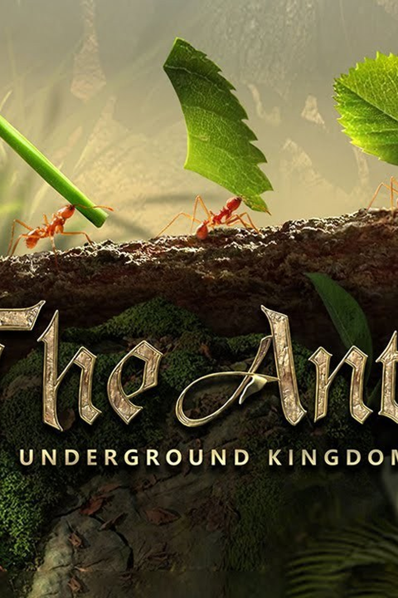 ✅Донат в Arknights в РФ в 2025 году!. Донат в мобильные игры / компьютерные игры и сервисы, Sweet Berries Donate