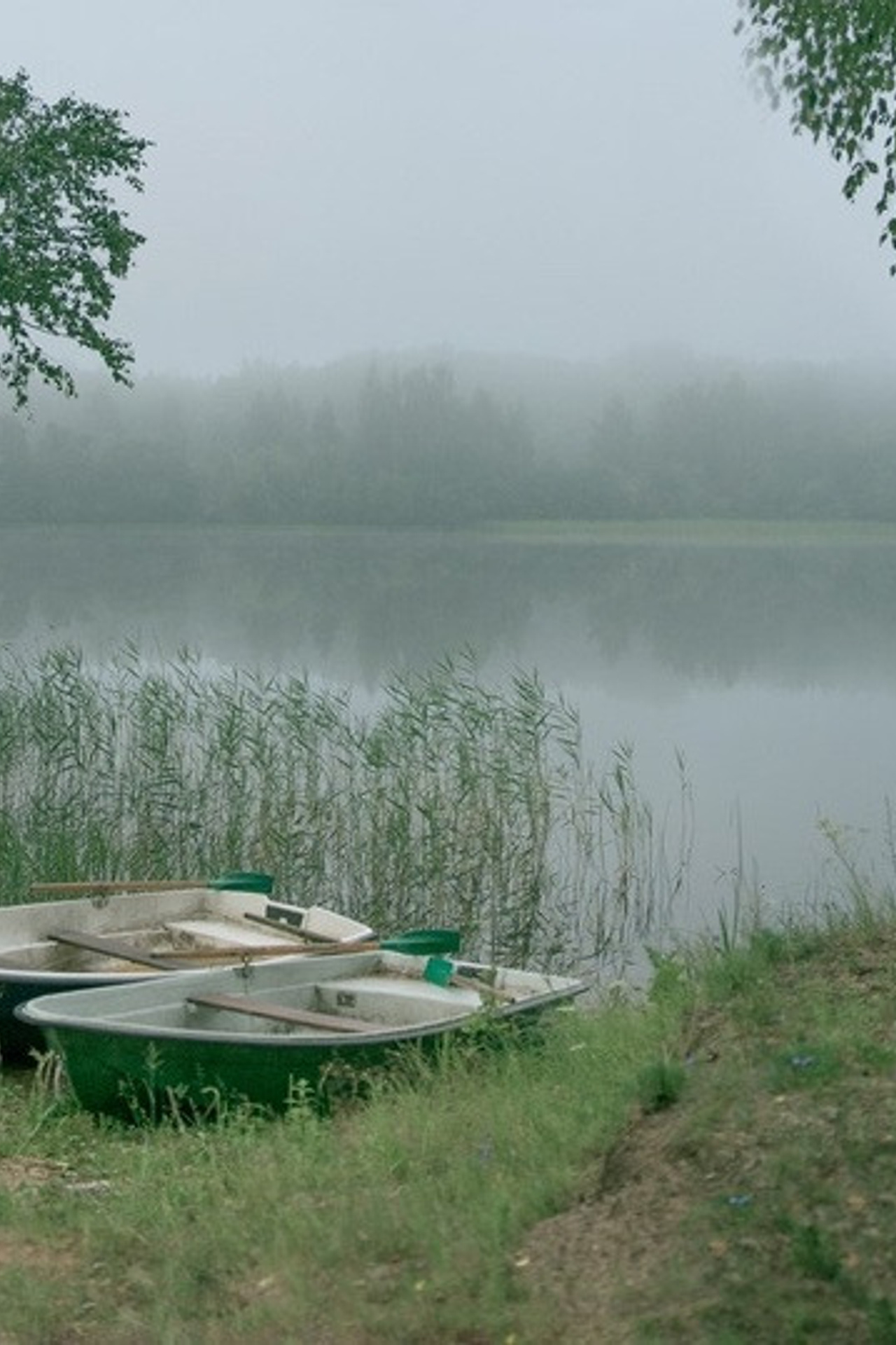 Russian beauty and AI. Svetlana Korneliuk, photographer in Yekaterinburg