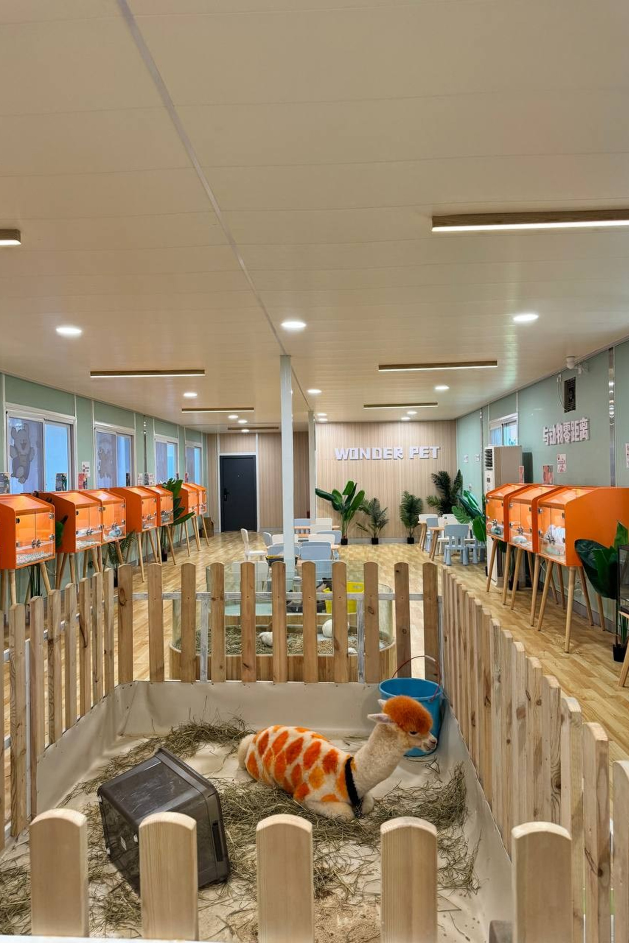 Хайнань Китай