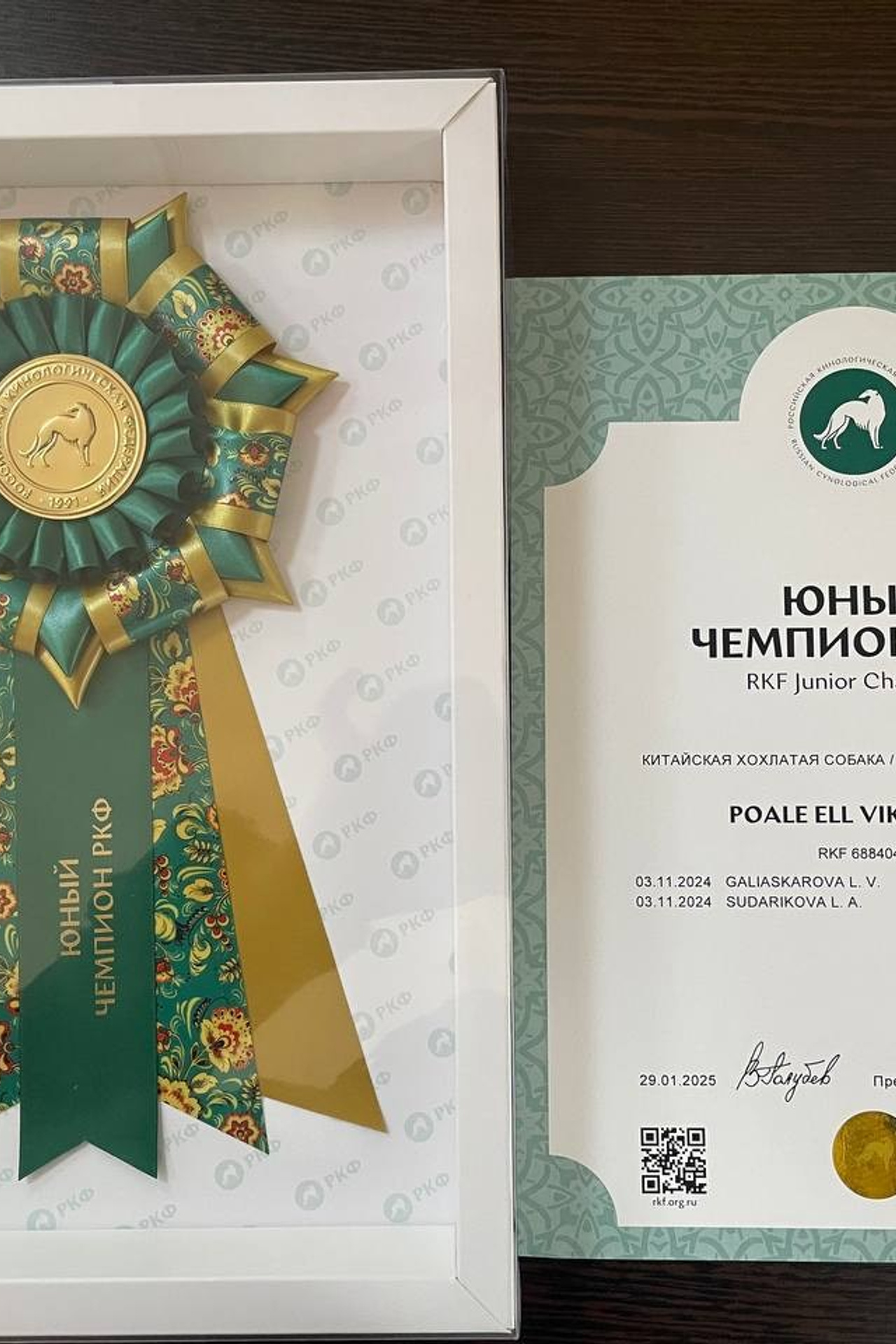 Блог питомника Poale Ell. Питомник китайских хохлатых собак Poale Ell: купить щенка