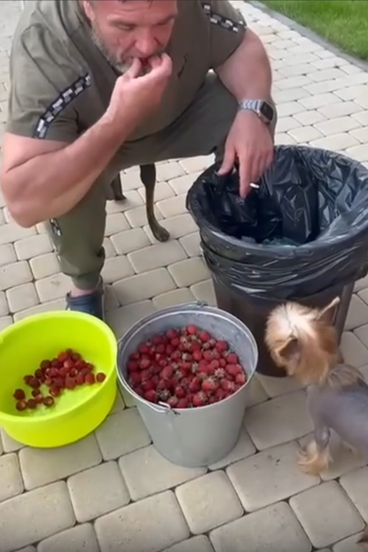 Balkan tour. Chinese Crested Dog Kennel Poale Ell