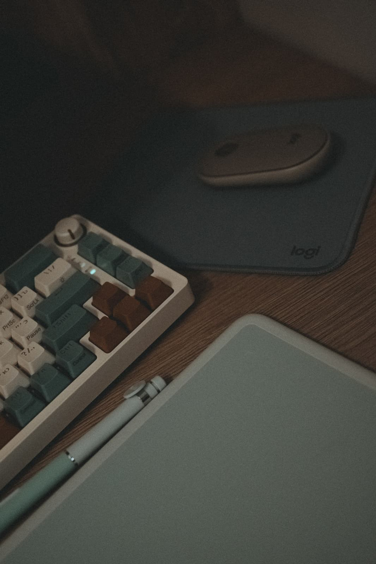 Проект фотографа. Портретный фотограф Тюмень Дарья Мустафина